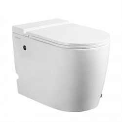 Унитазы приставные