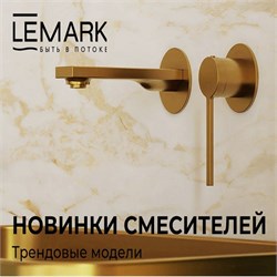 Новинки Lemark