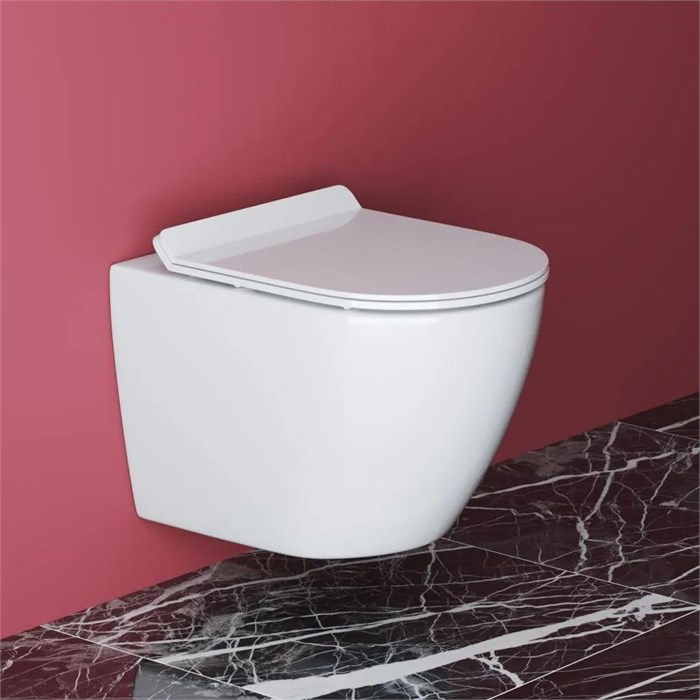 Унитаз подвесной безободковый Cezares STYLUS CZR-513-TH-R CZR-513-TH-R - фото 167545