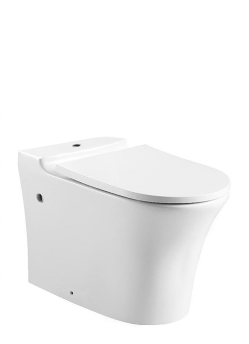 Чаша BRAVAT Pura, CX21214UW-P-RUS, Сантехнический фарфор, Белый CX21214UW-P-RUS - фото 193949