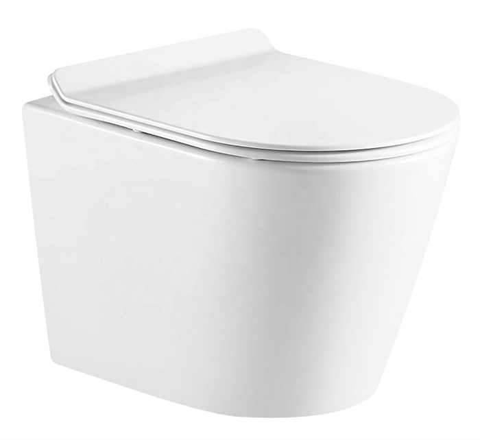 Унитаз подвесной AZARIO FONTI 535x365x310 безободковый, в комплекте с сиденьем микролифт, белый (AZ-402W) AZ-402W