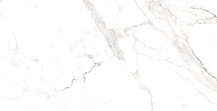 Плитка керамогранитная AZARIO STATUARIO CLASSIC 60х120 Matt (F2020821120M) F2020821120M