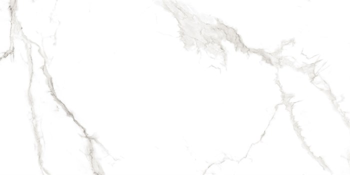 Плитка керамогранитная AZARIO MARTIN GREY 60х120 Glossy (F4110821124G) F4110821124G