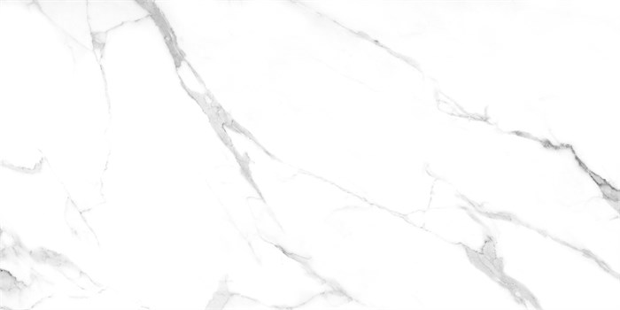 Плитка керамогранитная AZARIO JAVIER SATVARIO 60х120 Glossy (F4110821123G) F4110821123G