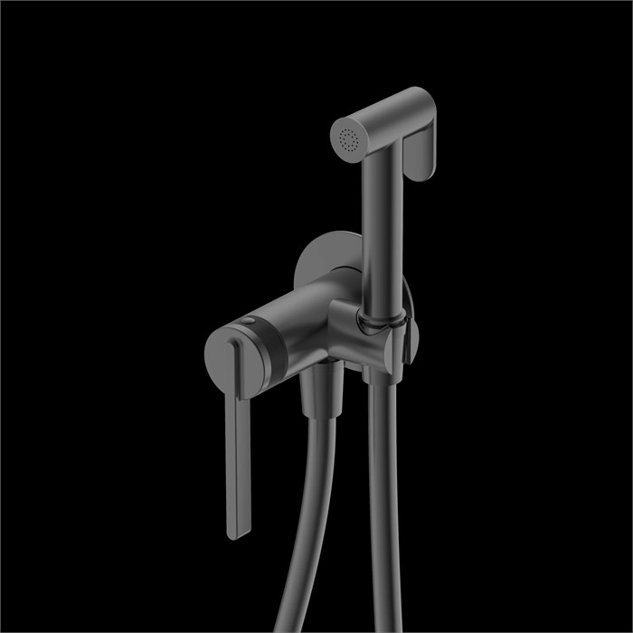 Гигиенический душ DQ Bonn встраиваемый (DA1704506) DA1704506