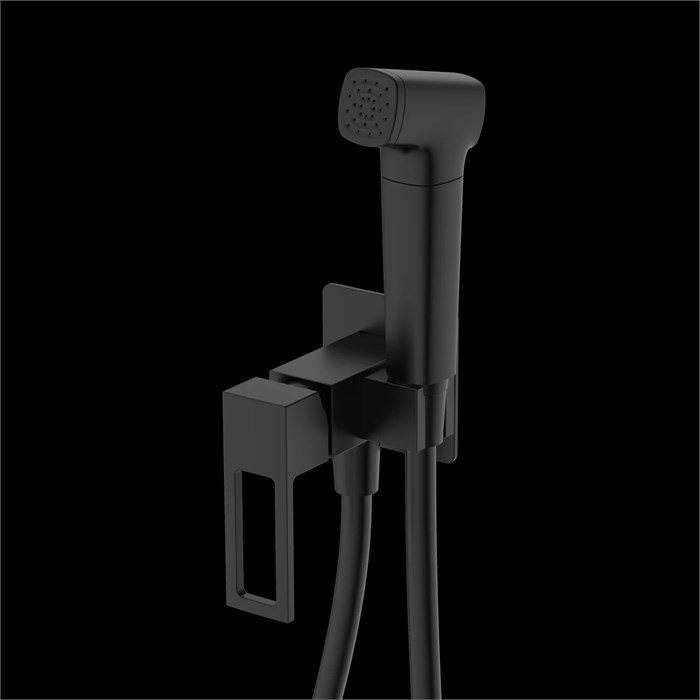 Гигиенический душ DQ Dortmund встраиваемый (DA1714505) DA1714505