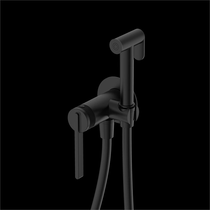 Гигиенический душ DQ Bonn встраиваемый (DA1704505) DA1704505