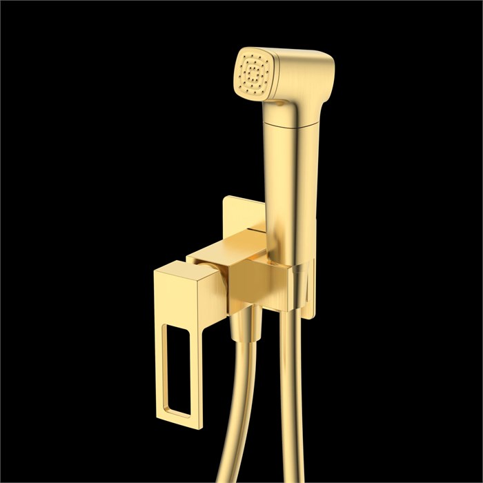 Гигиенический душ DQ Dortmund встраиваемый (DA1714507) DA1714507