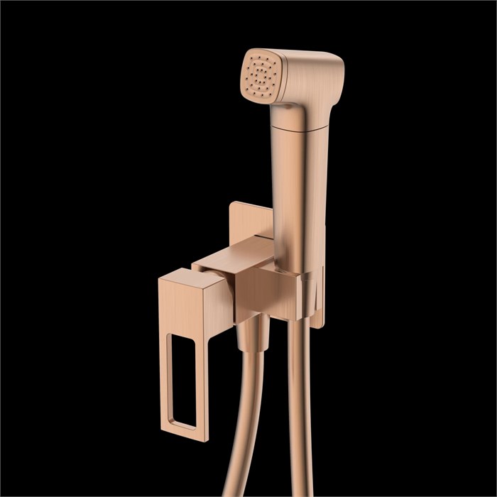 Гигиенический душ DQ Dortmund встраиваемый (DA1714533) DA1714533