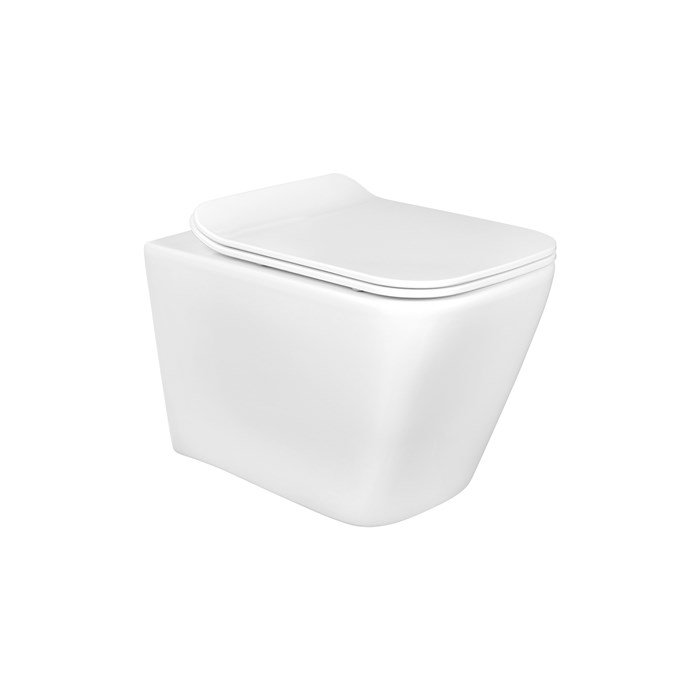 Унитаз подвесной безободковый Aquatek ДЕЛЬТА AQ1911-00 480*350*320  с сиденьем Soft Close AQ1911-00