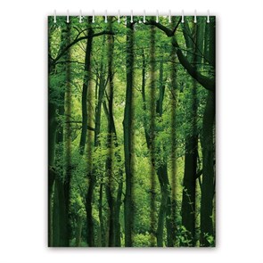 Штора для ванной Haiba лес (HB74060) HB74060