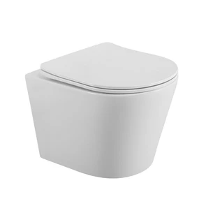 {{photo.Alt || photo.Description || 'Унитаз подвесной безободковый с сиденьем BelBagno FLAY-R BB053CHR/SC'}}