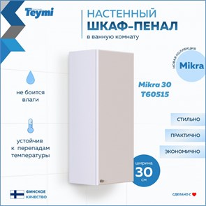 {{photo.Alt || photo.Description || 'Шкаф навесной Teymi Mikra 30, белый T60515'}}