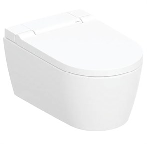 {{productViewItem.photos[photoViewList.activeNavIndex].Alt || productViewItem.photos[photoViewList.activeNavIndex].Description || 'Подвесной унитаз-биде Geberit AquaClean Sela, арт. 146.220.11.1 (старый арт. 146.224.11.1)'}}