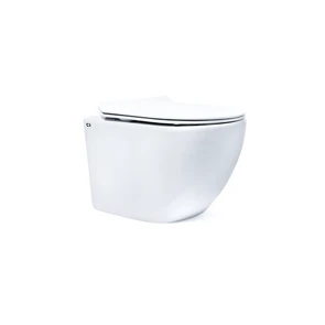 {{photo.Alt || photo.Description || 'BERTA RIMLESS Безободковый подвесной унитаз CHARUS, EWC700-120W, белый, санфарфор'}}