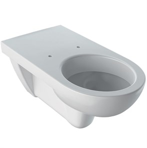 {{productViewItem.photos[photoViewList.activeNavIndex].Alt || productViewItem.photos[photoViewList.activeNavIndex].Description || 'Geberit Renova Comfort Унитаз подвесной, глубина 70 см 208520000'}}