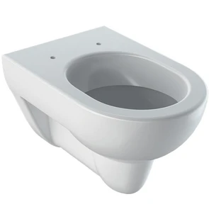{{photo.Alt || photo.Description || 'Geberit Renova Унитаз подвесной 4,5/6л, 540 мм 203040000'}}