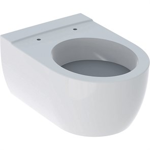 {{productViewItem.photos[photoViewList.activeNavIndex].Alt || productViewItem.photos[photoViewList.activeNavIndex].Description || 'Geberit iCon Унитаз подвесной, 6л, 355х530 мм 204000000'}}