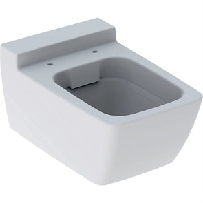 {{productViewItem.photos[photoViewList.activeNavIndex].Alt || productViewItem.photos[photoViewList.activeNavIndex].Description || 'Geberit Xeno Унитаз подвесной безободковый Rimfree® 500.500.01.1'}}