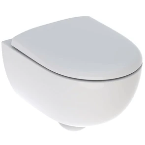 {{photo.Alt || photo.Description || 'Комплект подвесного укороченного безободкового унитаза Geberit Renova Compact  Rimfree T=49см ,с  сиденьем  и быстросъемной крышкой с микролифтом. 500.803.00.1'}}