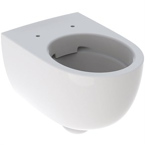 {{productViewItem.photos[photoViewList.activeNavIndex].Alt || productViewItem.photos[photoViewList.activeNavIndex].Description || 'Geberit Renova Comfort Унитаз подвесной безободковый Rimfree®, глубина 55 см 500.694.01.1'}}