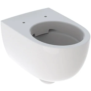 {{photo.Alt || photo.Description || 'Geberit Renova Comfort Унитаз подвесной безободковый Rimfree®, глубина 55 см 500.694.01.1'}}
