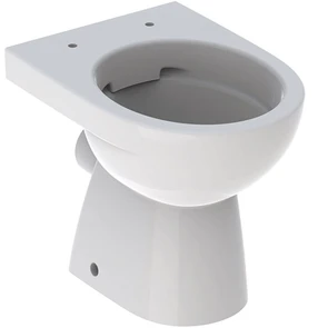 {{photo.Alt || photo.Description || 'Geberit Renova Напольный унитаз безободковый Rimfree®, глубина 49 см, горизонтальный выпуск 500.480.01.2'}}