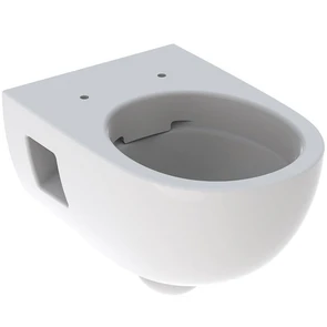 {{photo.Alt || photo.Description || 'Geberit Renova Premium Унитаз подвесной безободковый Rimfree® 4,5/6 л 203070000'}}