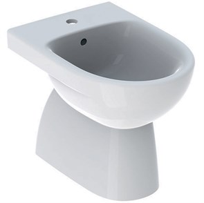 {{photo.Alt || photo.Description || 'Напольное биде Geberit Renova полузакрытой формы: T=52см, Перелив=На виду, Белый 500.812.01.2'}}