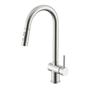 {{photo.Alt || photo.Description || 'Смеситель Splenka S204.49.05 для кухни 2-х режимный  поворотный выдвижной излив, сатин'}}