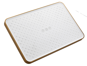 Лейка верхнего душа BELZ 305мм x 205мм, брашированное золото (BD02-5) BD02-5