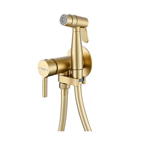 {{photo.Alt || photo.Description || 'Смеситель Raglo с гигиеническим душем встраиваемый, сатин золотой (R20.54.03)'}}