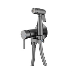 {{photo.Alt || photo.Description || 'Смеситель Raglo с гигиеническим душем встраиваемый, графит (R20.54.09)'}}