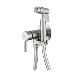 {{photo.Alt || photo.Description || 'Смеситель Raglo с гигиеническим душем встраиваемый, сатин (R20.54.05)'}}