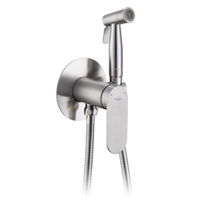 {{photo.Alt || photo.Description || 'Смеситель Raglo с гигиеническим душем встраиваемый, сатин (R10.52.05)'}}