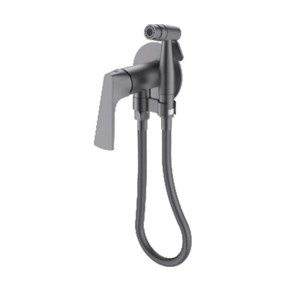 {{photo.Alt || photo.Description || 'Смеситель Raglo с гигиеническим душем встраиваемый, графит (R07.52.09)'}}