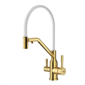 {{photo.Alt || photo.Description || 'Смеситель Raglo для кухни со съемным гибким изливом, с магнитным фиксатором излива, с подключением фильтра питьевой воды (R81.62.03)'}}