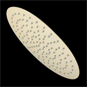 {{photo.Alt || photo.Description || 'Тропический душ Raglo ?300мм (нерж) сатин золотой (R451.56.03)'}}