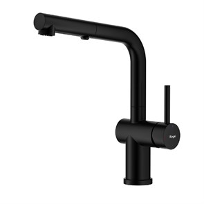 {{photo.Alt || photo.Description || 'Смеситель Raglo для кухни с выдвижным изливом, черный (R86.49.06)'}}