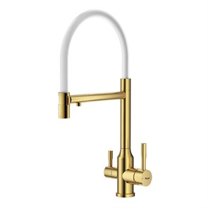 {{photo.Alt || photo.Description || 'Смеситель Raglo для кухни с подключением к фильтру съёмный гибкий излив с магнитным фиксатором, сатин золотой (R81.63.03)'}}