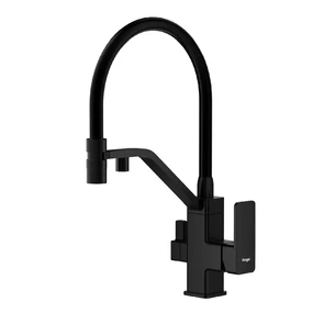 {{photo.Alt || photo.Description || 'Смеситель Raglo R85.62.06 для кухни под фильтр съёмный гибкий излив  с магнитным фиксатором, черный'}}