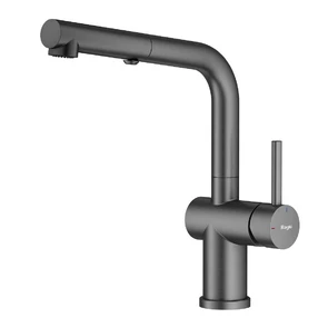 {{photo.Alt || photo.Description || 'Смеситель Raglo R86.49.09 для кухни с выдвижным изливом, графит'}}
