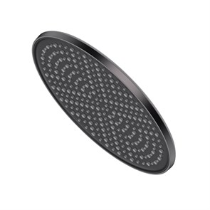 {{photo.Alt || photo.Description || 'Лейка душевая верхняя Raglo тропический душ ?250мм пластик/силикон, графит (R451.50.09)'}}