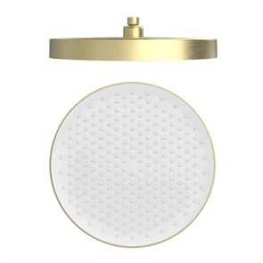 {{photo.Alt || photo.Description || 'Лейка верхняя Raglo для душа ?320мм 1 режим круглая пластик/силикон, сатин золотой (R452.09.03)'}}