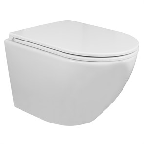 {{photo.Alt || photo.Description || 'Унитаз подвесной Azario Grado 490х370х360 безободковый с быстросъемным сиденьем микролифт (AZ-0046 -N)'}}