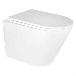 {{photo.Alt || photo.Description || 'Унитаз подвесной Azario Teramo 515х355х365 безободковый, с быстросъемным сиденьем микролифт (AZ-0053)'}}