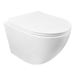 {{photo.Alt || photo.Description || 'Унитаз подвесной Azario Grado 490х370х370 безободковый, в комплекте с сидением микролифт, белый (AZ-0046 SP)'}}