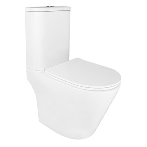 {{photo.Alt || photo.Description || 'Унитаз-компакт Azario Berton 385х615х805 напольный, безободковый, слив &quot;Торнадо&quot;, с быстросъемным сиденьем микролифт (AZ-6093)'}}