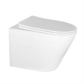 {{photo.Alt || photo.Description || 'Унитаз подвесной Azario Atrio 490x365x360 безободковый, с сиденьем микролифт, белый (AZ-2330)'}}