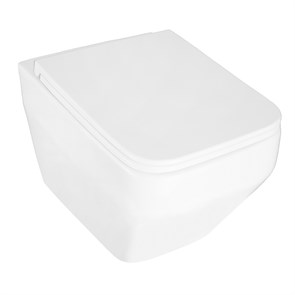 {{photo.Alt || photo.Description || 'Унитаз подвесной Azario MONEO 355х515х365 безободковый, слив &quot;Торнадо&quot;, в комплекте с быстросъемным сидением микролифт (AZ-0062 UQ1)'}}